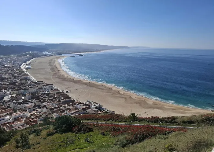 Graos D'oceano *